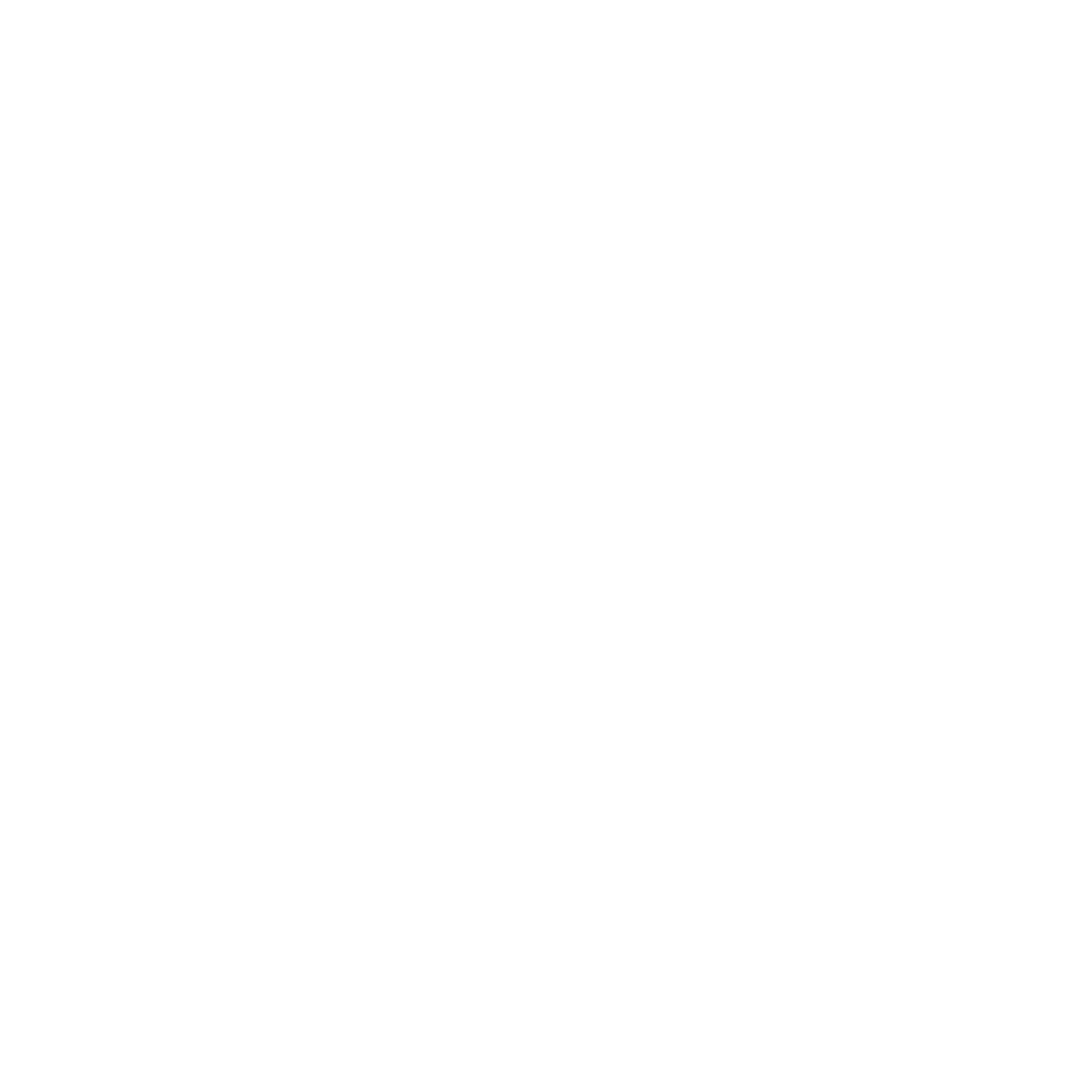 The College Athlete Network Foundation
